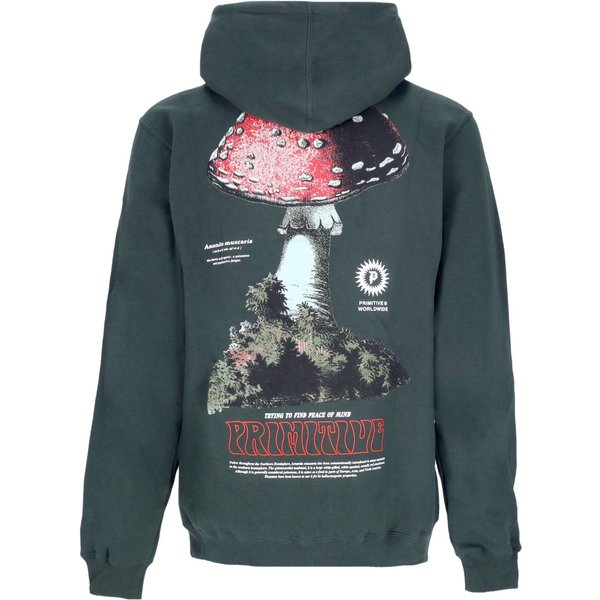 Felpa Cappuccio Uomo Red Cap Hoodie Hunter Green-image