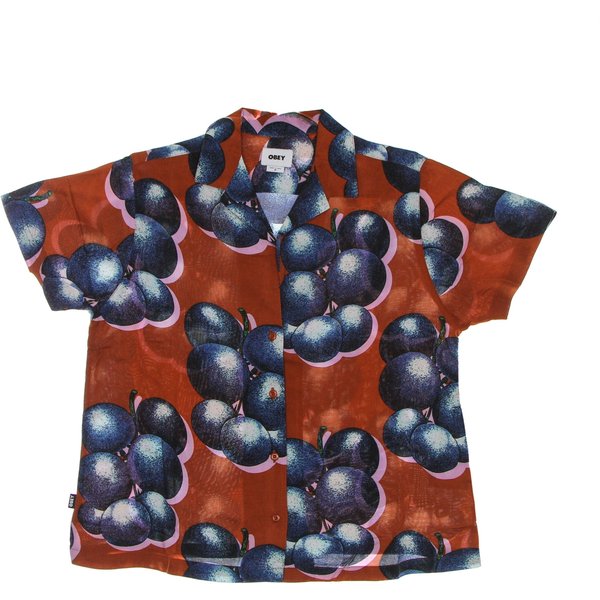 Camicia Manica Corta Donna Blueberries Relaxed Shirt Bombay Brown Multi-image