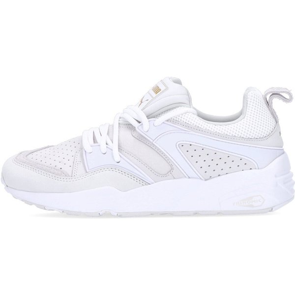 Scarpa Bassa Uomo Blaze Of Glory Premium White/nimbus Cloud/team Gold