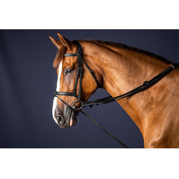 Dyon New English Collection Schlaufzügel aus Leder u. Nylon - black, Größe Pony