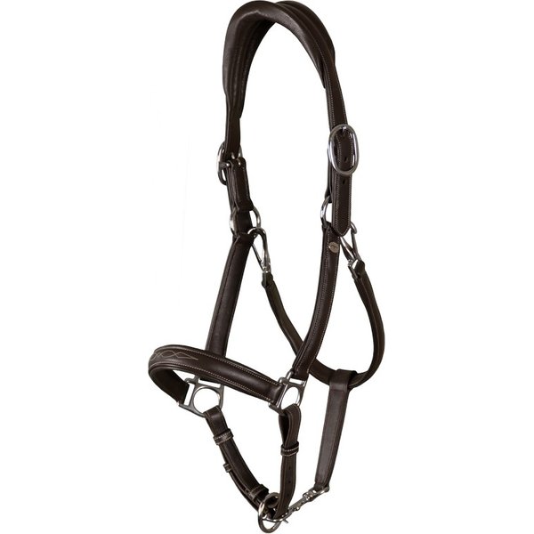 Dyon Working Collection 2 in 1 Transport u. Stallhalfter aus Leder - brown, Größe Cob