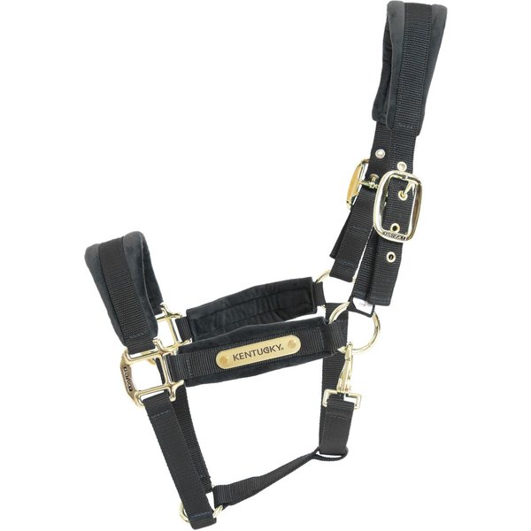 Kentucky Horsewear Velvet Halfter - black, Größe Cob