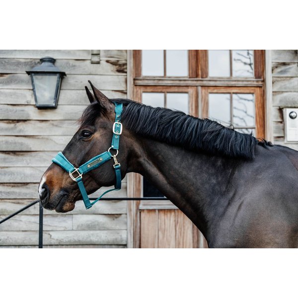 Kentucky Horsewear Velvet Halfter - smaragd, Größe Shetty