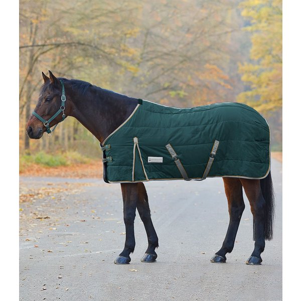 Waldhausen Stalldecke Economic 300 g - tannengrün, Größe 145 cm