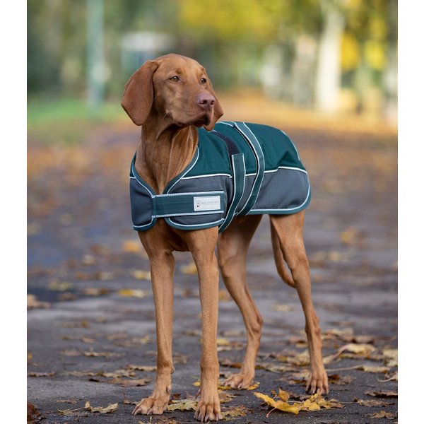 Waldhausen Hundedecke Comfort Line 200 g - tannengrün, Größe 65 cm