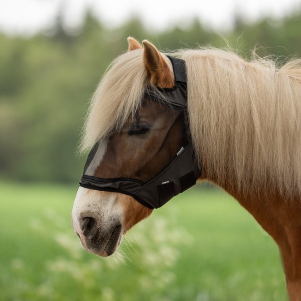 Busse Fliegenmaske Fly Guard Free - schwarz, Größe Warmblut Extra