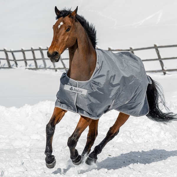 Bucas Smartex Turnout Extra Classic 300g Weidedecke - iron gate, Größe 130