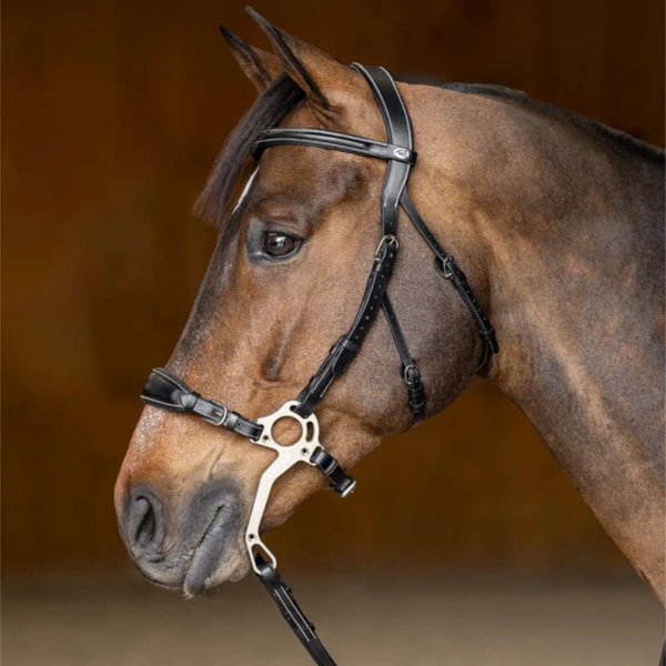 HFI anatomische Hackamore Trense mit geradem Stirnband - schwarz, Größe Full
