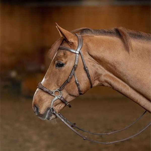 HFI anatomische Hackamore Trense mit geradem Stirnband - braun, Größe Full