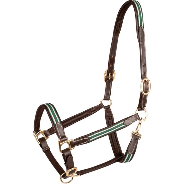 Waldhausen Lederhalfter X-Line Oxford - braun/grün, Größe Warmblut