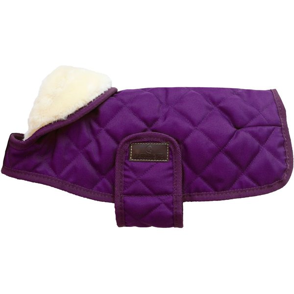 Kentucky Dogwear Hundemantel 160g - royal purple, Größe XL
