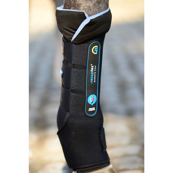 Kentucky Horsewear Magnetic Recuptex Stallgamaschen - schwarz, Größe Full