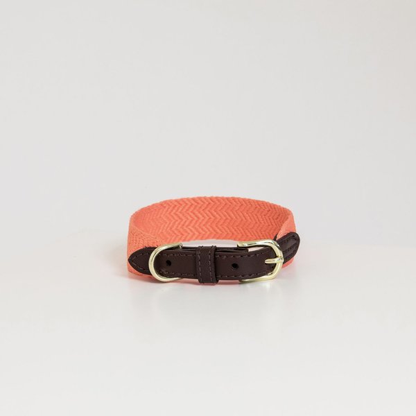 Kentucky Dogwear Jacquard Hundehalsband - neon orange, Größe XL