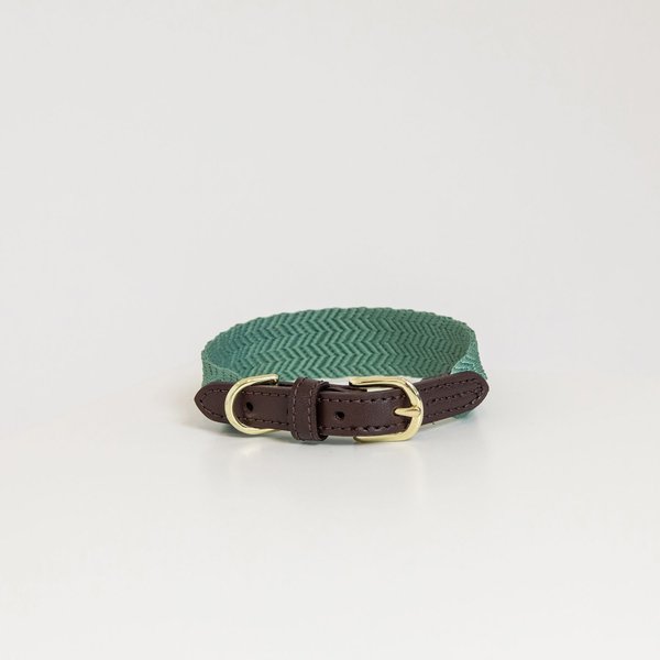 Kentucky Dogwear Jacquard Hundehalsband - olive, Größe XL