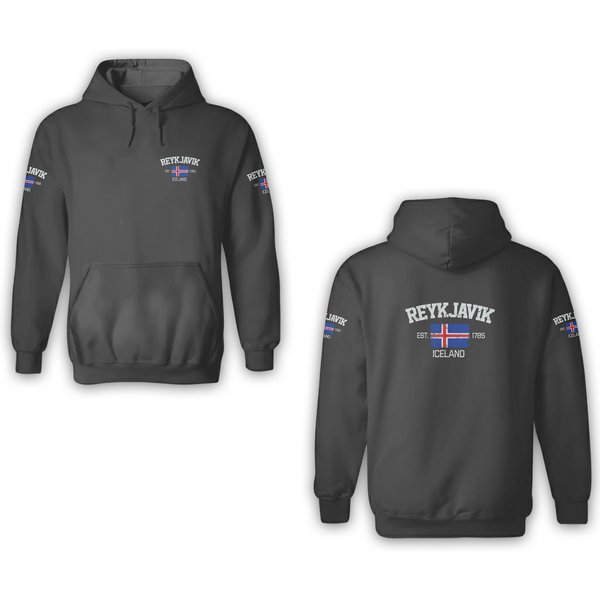 Vintage Reykjavik Iceland Souvenir Gift 3D Hoodies-image