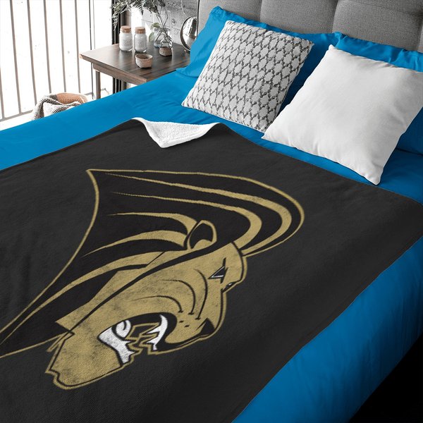 Lindenwood University Lions Distressed Primary Pullover Baby Blankets-image