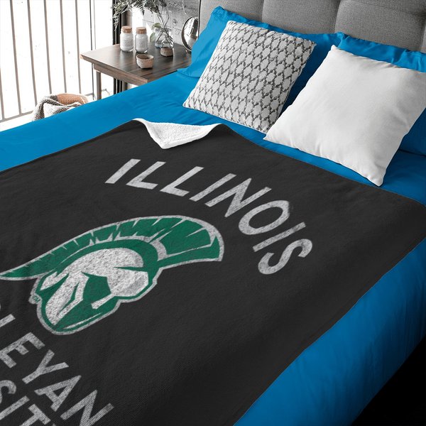 Illinois Wesleyan University Titans Large Baby Blankets-image