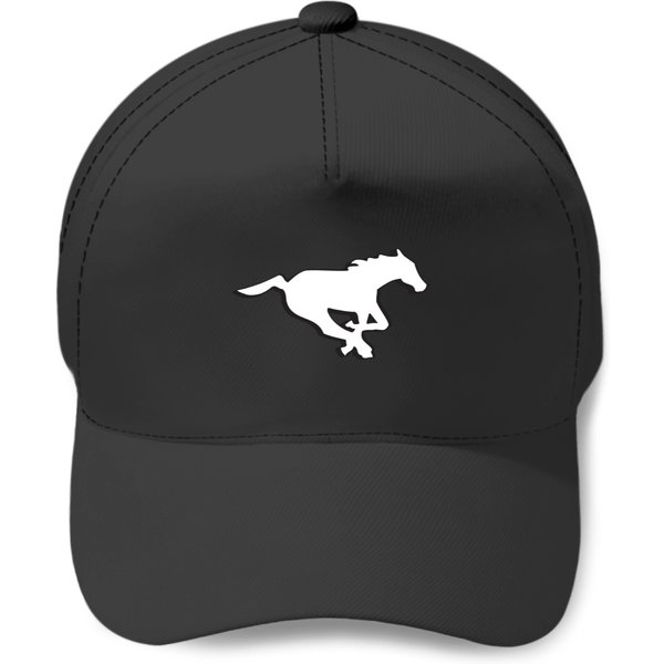 Calgary Stampeders Football Baseball Caps-image