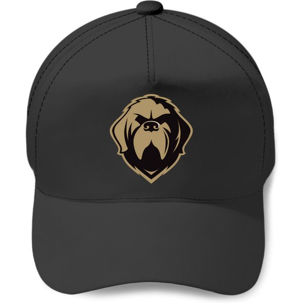 Newfoundland Growlers Baseball Caps-image