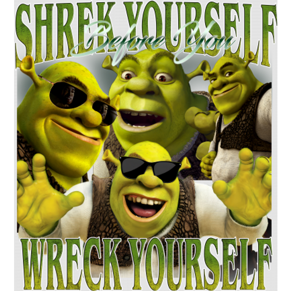 Shrek Meme Digital Files: Shrek Yourself Before You Wreck Yourself-image