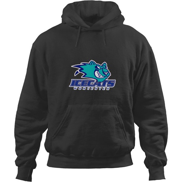 Worcester Icecats Defunct Black Hoodies-image