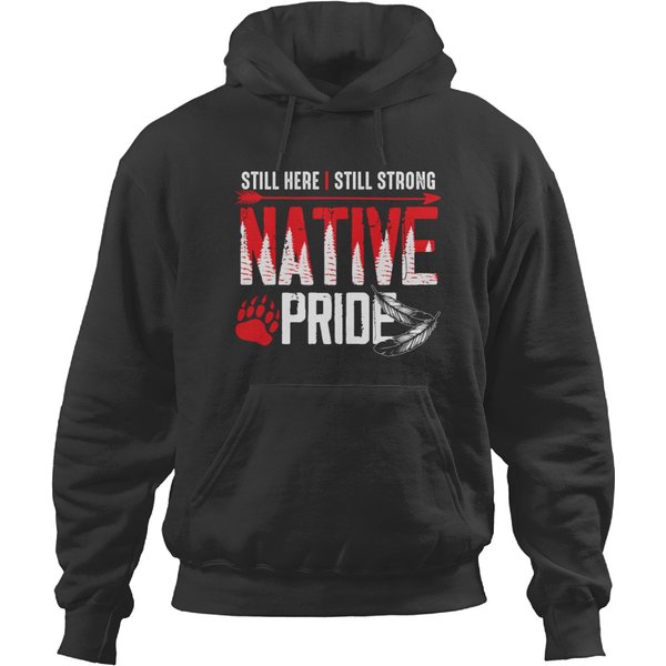 Native American Heritage Indigenous Pride Native American Hoodies-image