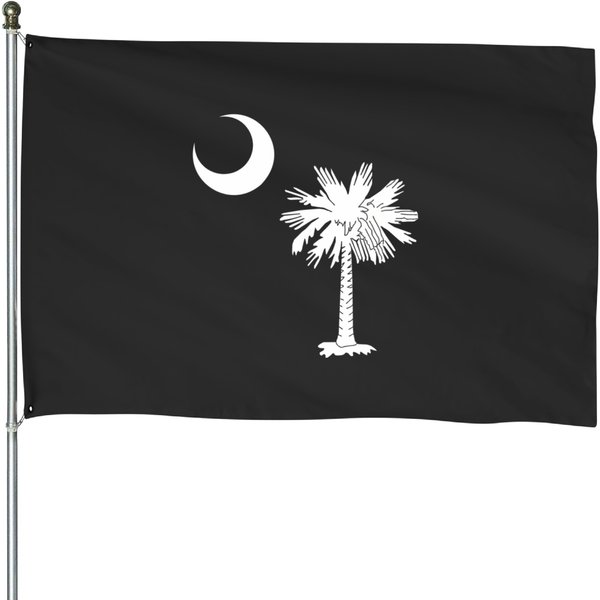 South Carolina Palmetto State Flag House Flags-image
