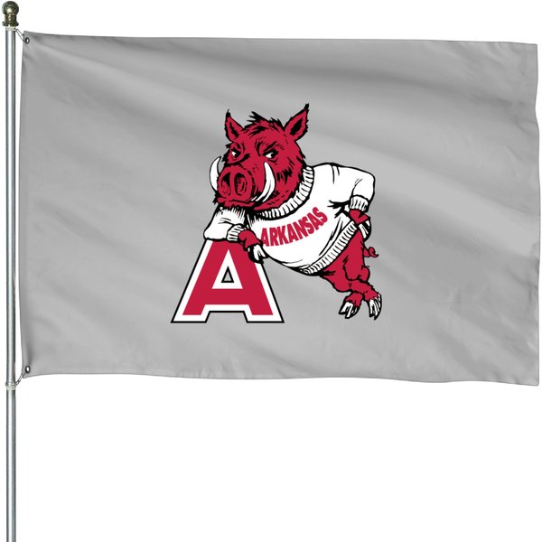 Arkansas House Flags-image