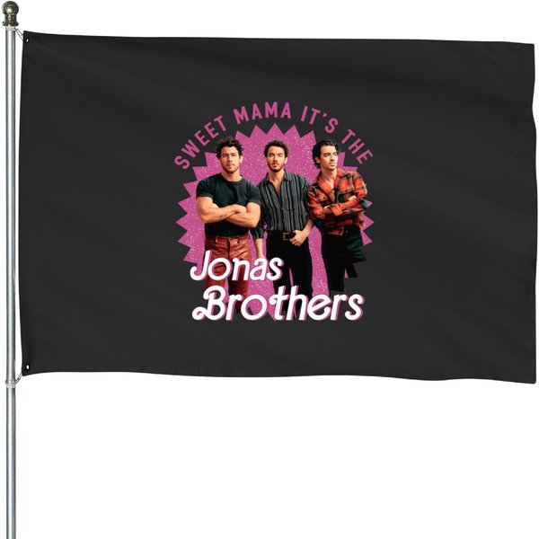 Jonas Brothers Concert House Flags-image