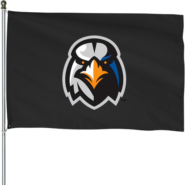 Fan Ironbirds People Aberdeen House Flags-image