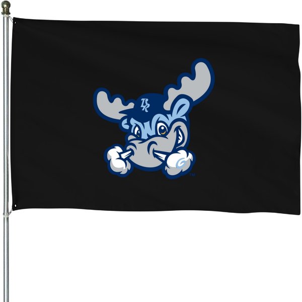 Wilmington Blue Rocks T-Shirt House Flags-image