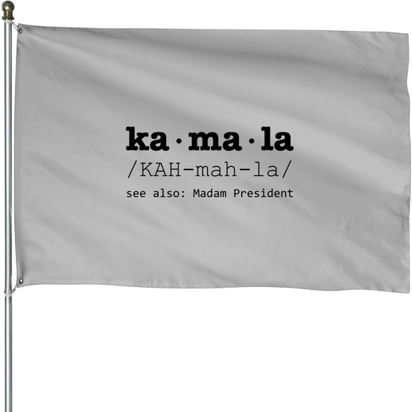 Kamala Harris 2024 President Vote House Flag-image