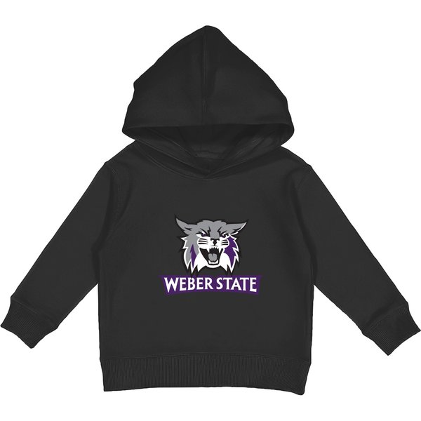 Study In Weber State University Wildcats Kids Pullover Hoodies-image