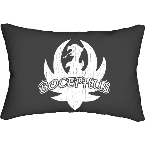 Bocephus Hank Williams Jr Lumbar Pillows Rock Country Music Lumbar Pillows Vintage-image