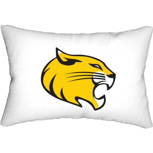 Randolph College Wildcats Lumbar Pillows-image