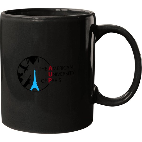 American University Of Paris 2 Mugs