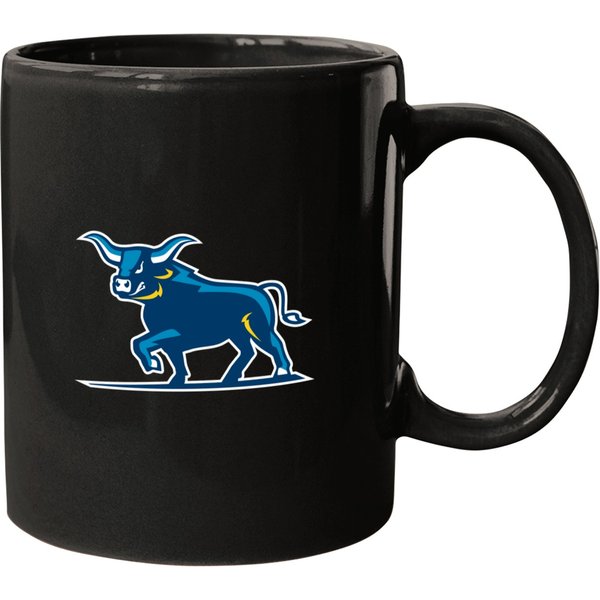 Alfred State Pioneers Mug-image