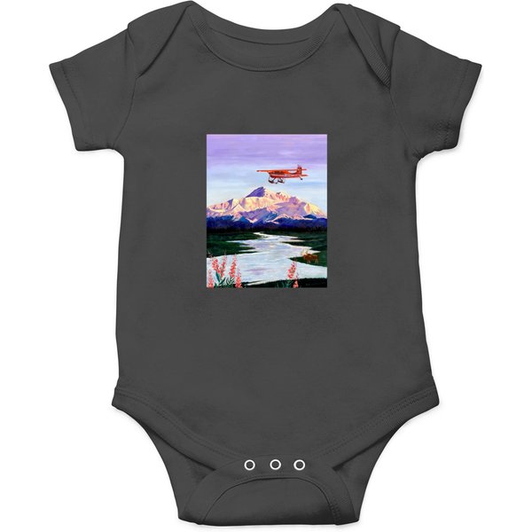 Denali Mountain Painting, K2 Aviation, Living Room Painting, Alaska Mountain, Gift For Pilot, Scott Onesies-image