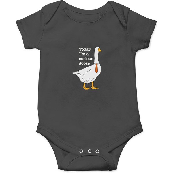 Today I'm A Serious Goose Funny Silly Goose Onesies-image