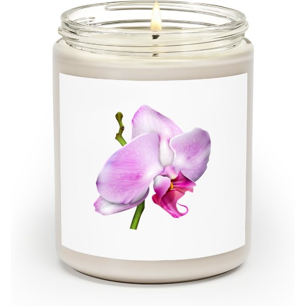 Cherry Blossom Orchid Scented Candles-image