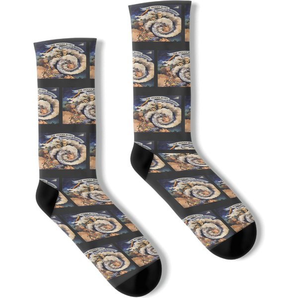 The Moody Blues A Question Of Balance Record Album Socks