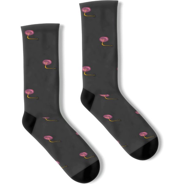 Sir Hiss And His Amazing Flying Machine Socks-image