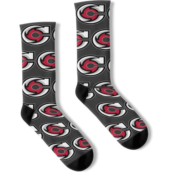 Cincinnati Cyclones Socks