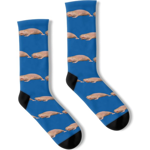 Mole Rat Classic T-Shirt-Mole Rat Socks-image