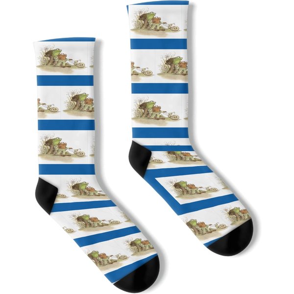 Frog And Toad Mail Snail Socks