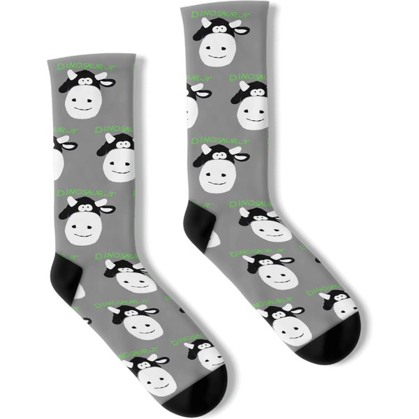Dinosaur Jr Socks-image