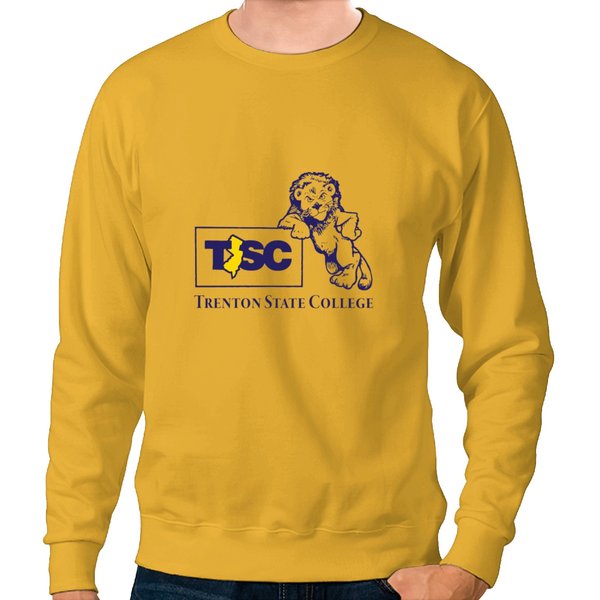 Vintage Trenton State College Roscoe Tsc Sweatshirts-image