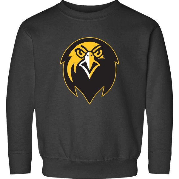 Pfeiffer University Falcons Sweatshirts-image