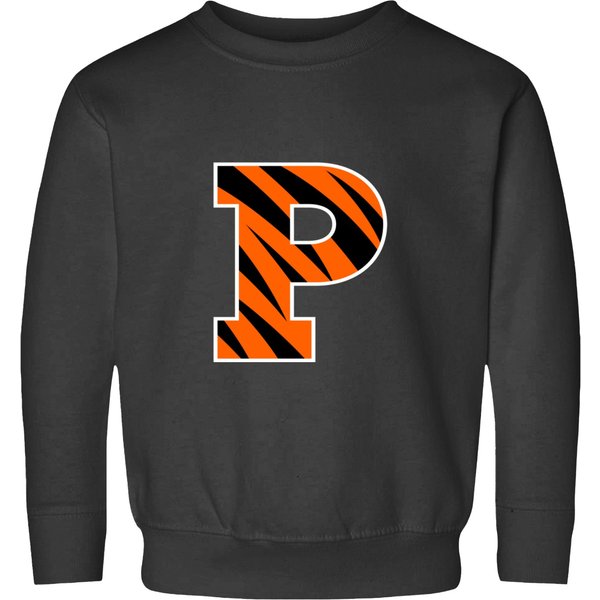 Princeton Tigers Sweatshirts-image