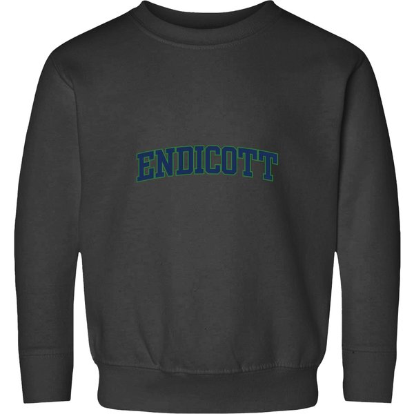 Endicott College 02 Pullover Sweatshirts-image